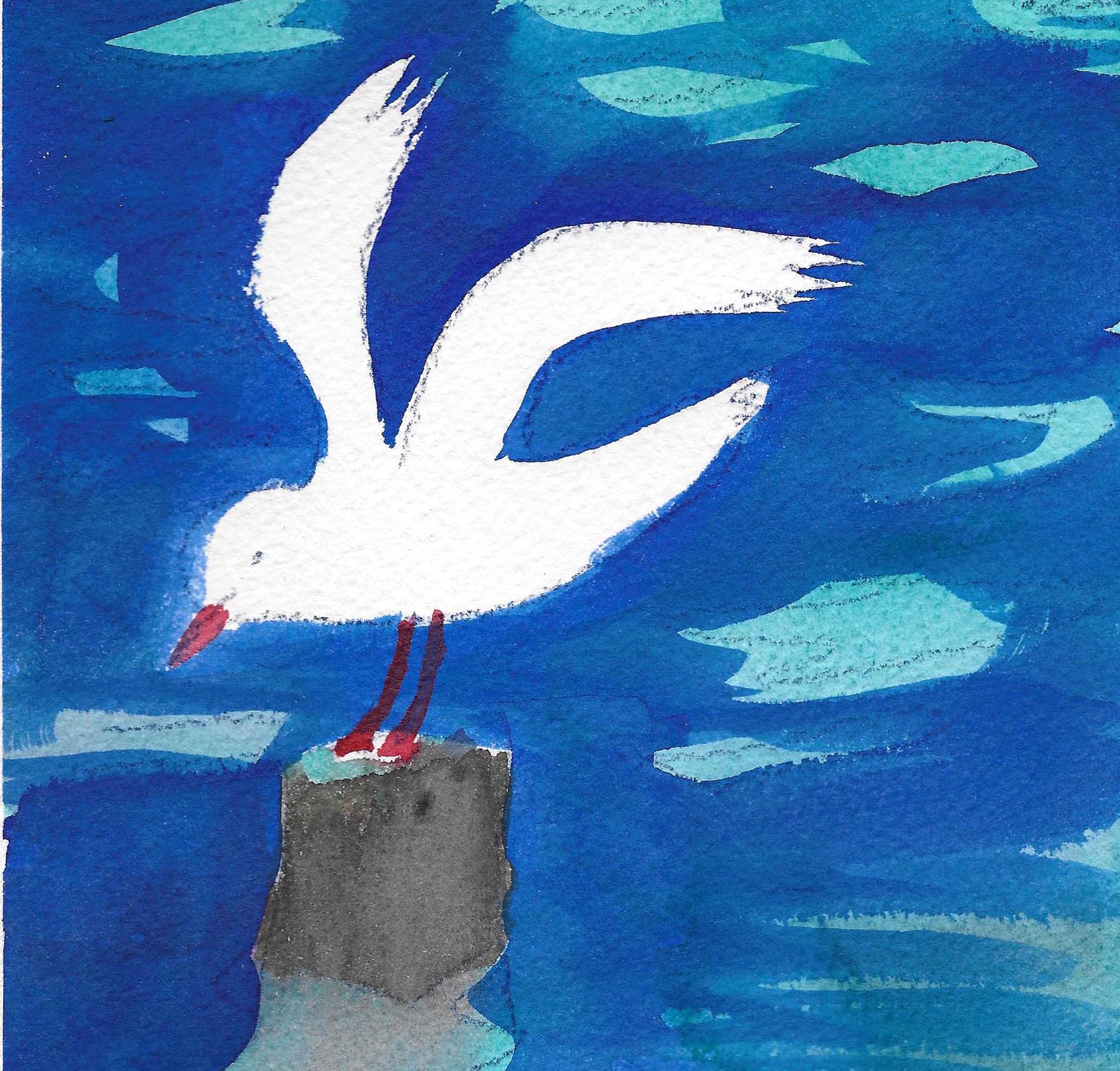Seagull two