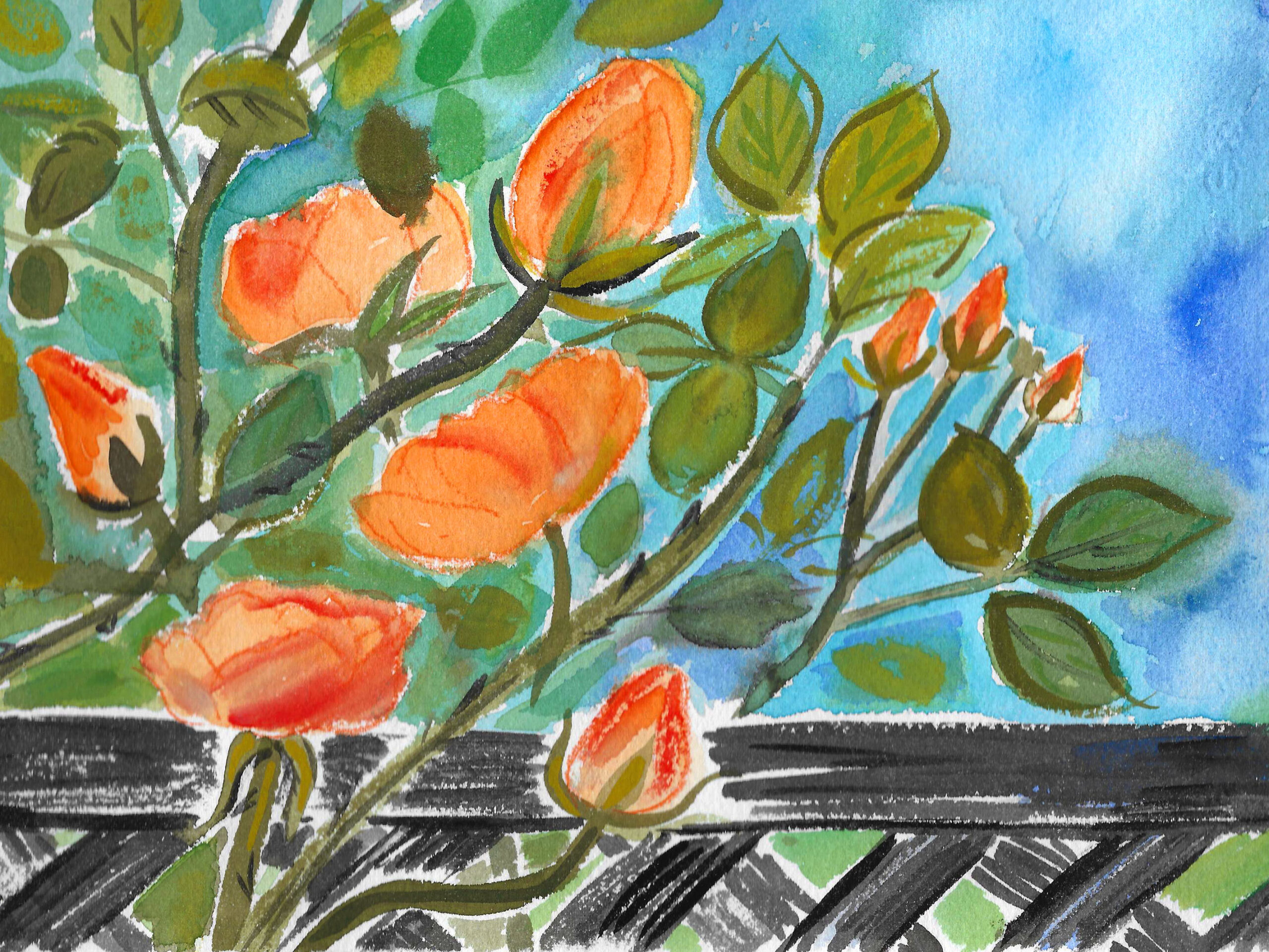 Rose trellis 2