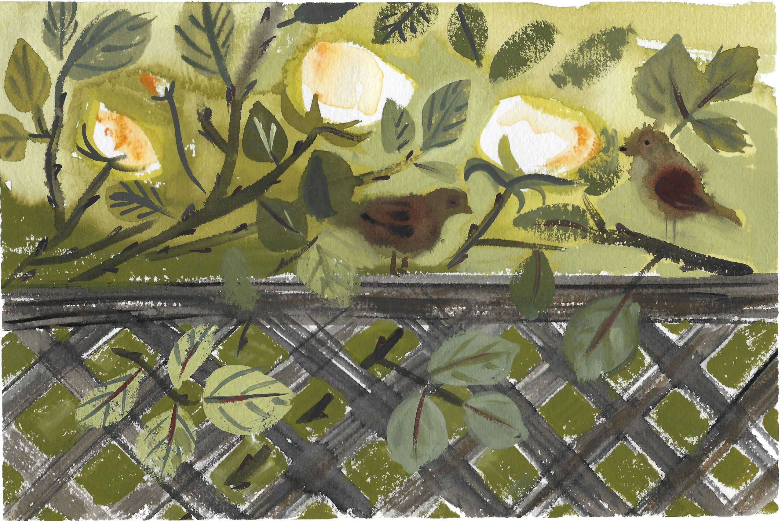 Rose trellis 3