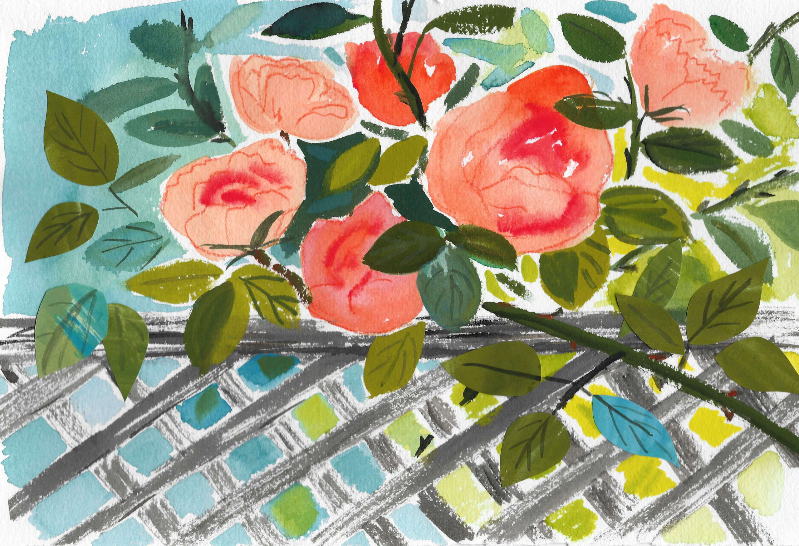 Rose trellis 1